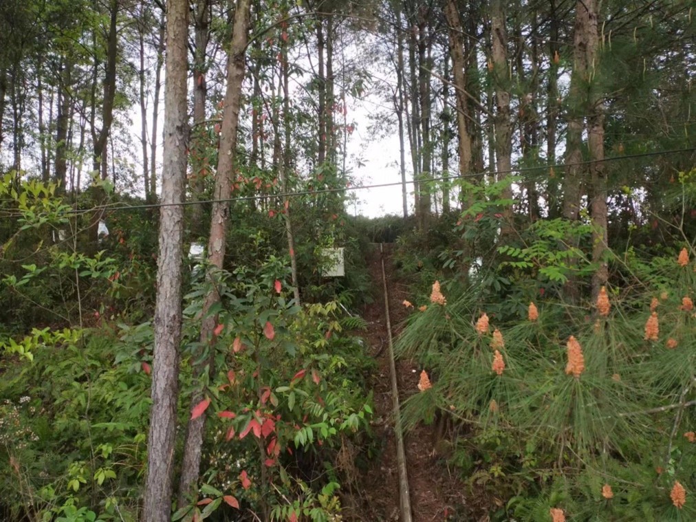 圖片關(guān)鍵詞