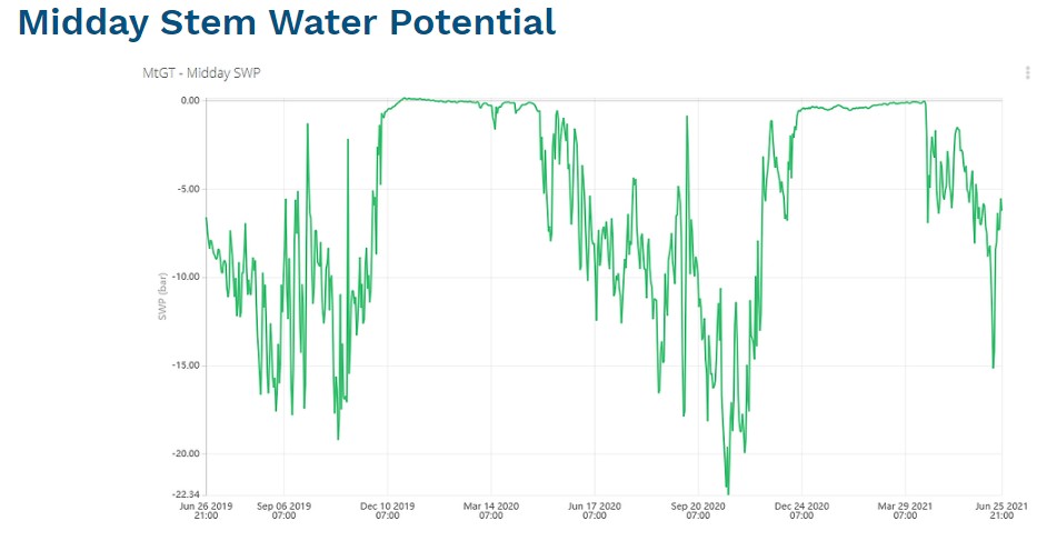 原位莖桿水勢測量儀 原位莖桿水勢測量儀