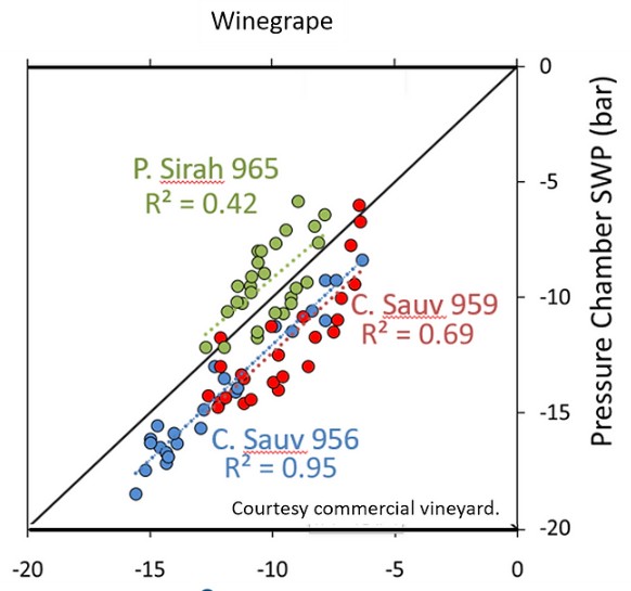 原位莖桿水勢測量儀 原位莖桿水勢測量儀
