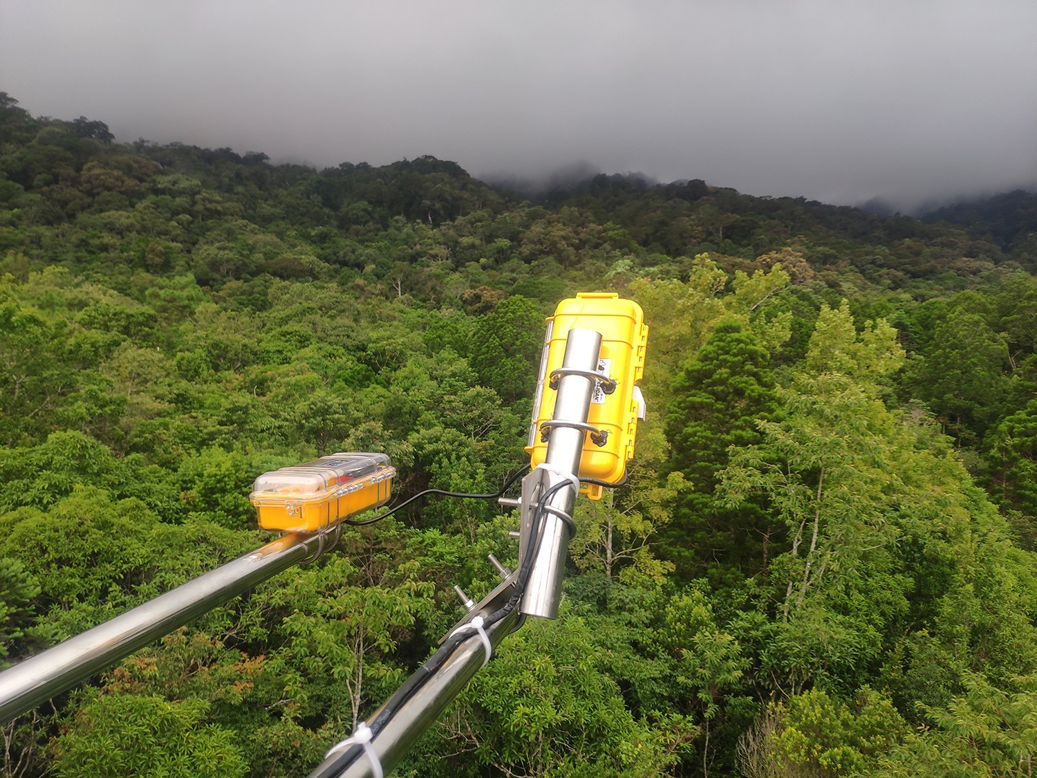 物候多光譜成像 物候多光譜成像