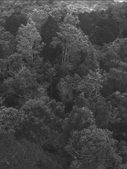 圖片關(guān)鍵詞 圖片關(guān)鍵詞